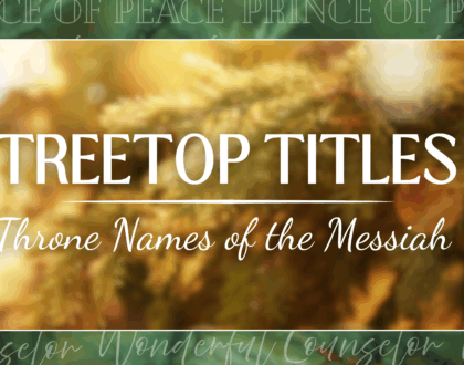 Mighty God – Isaiah 9:6; Luke 1:46-49